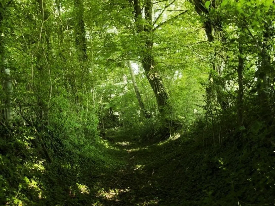 Maison de Vacances Pervenchères 2