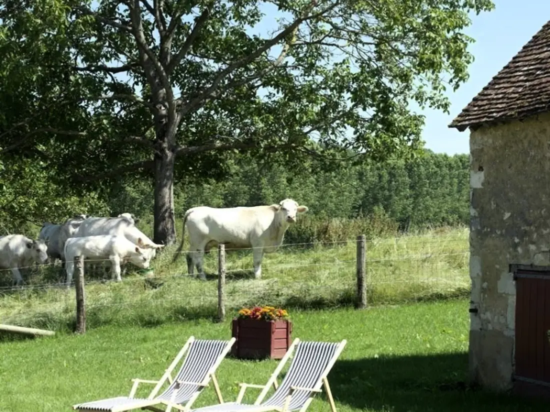 Maison de Vacances Pervenchères 2