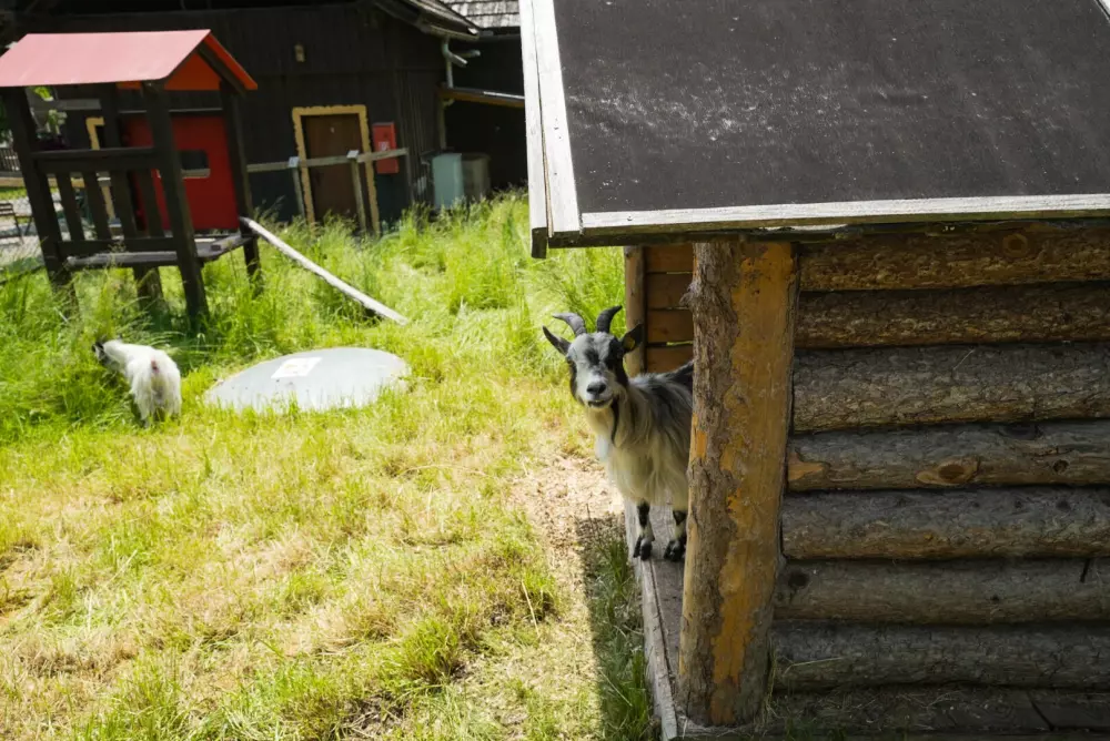 Camping Bella Austria 4 étoiles★★★★