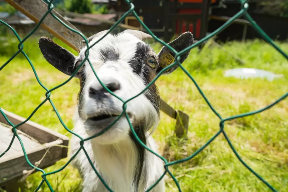 Camping Bella Austria 4 étoiles★★★★