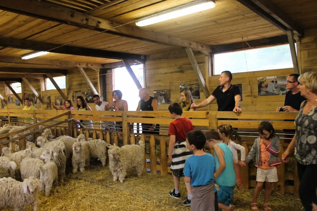Camping maeva Escapades Au P'tit Bonheur 3 étoiles★★★