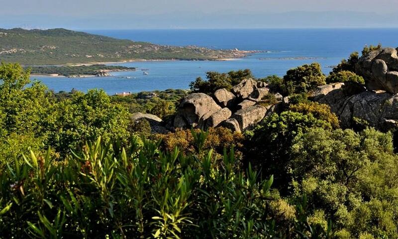 Camping le Damier *** - Pianottoli Caldarello - Corse - 6