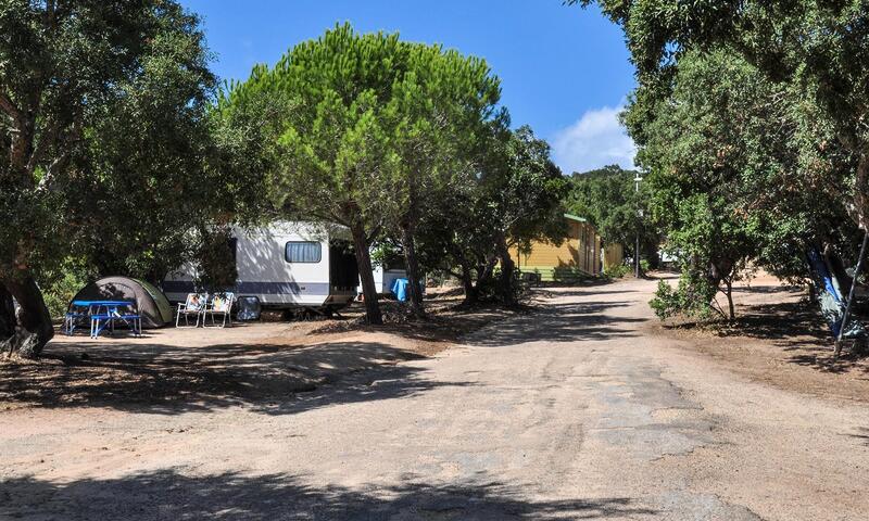 Camping le Damier *** - Pianottoli Caldarello - Corse - 4