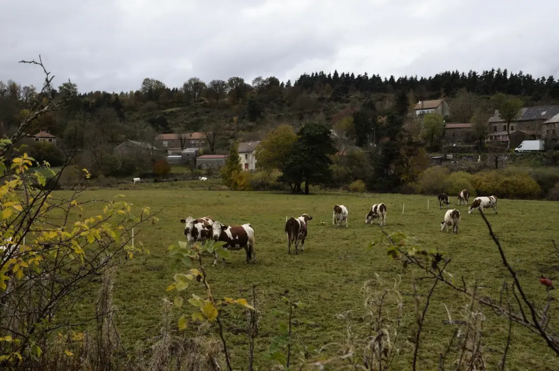 Gîte de France La parrot en margeride 2 épis