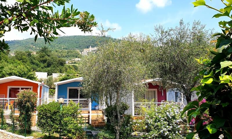 Camping dei Fiori ** - Pietra Ligure - 2