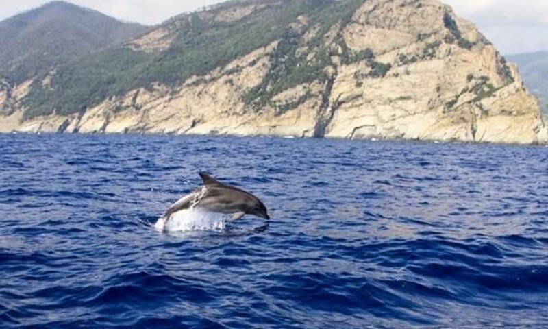 Camping dei Fiori ** - Pietra Ligure - 43