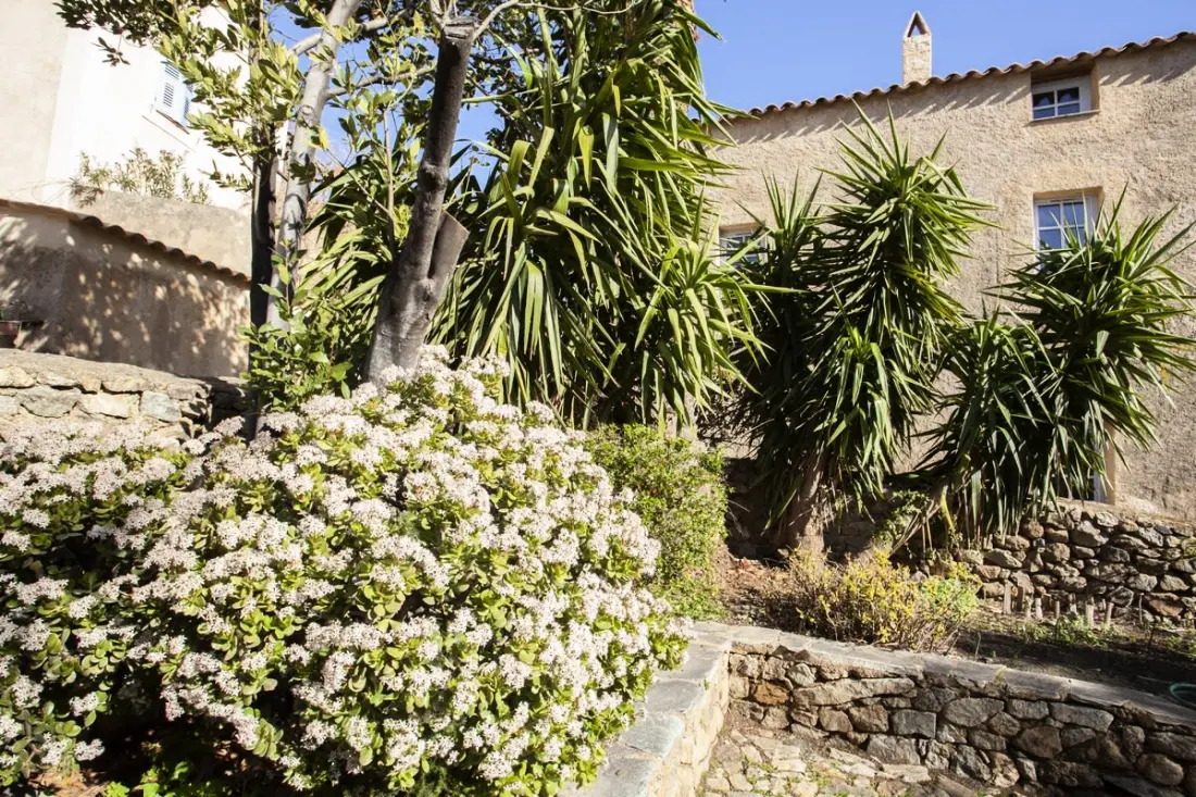 Casa Celestina – Chambre Indépendante De Charme Au Cœur De Pigna
