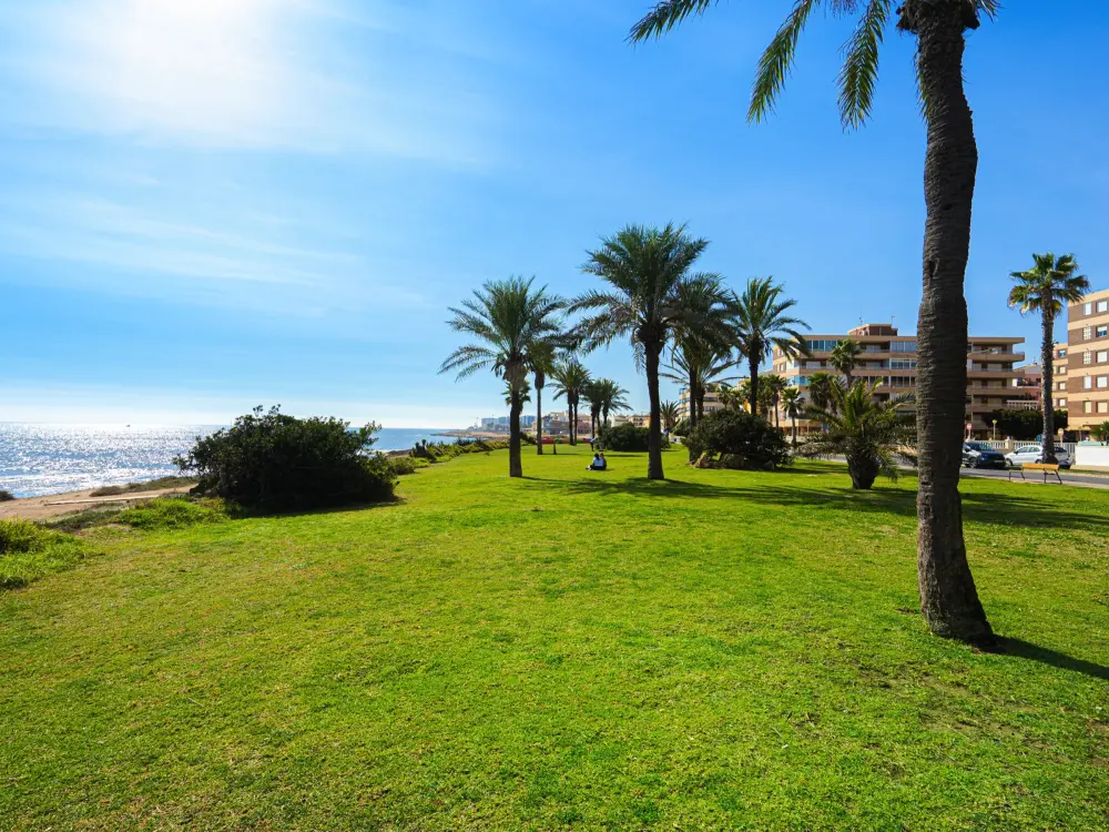 Location de Vacances Pilar de la Horadada 13