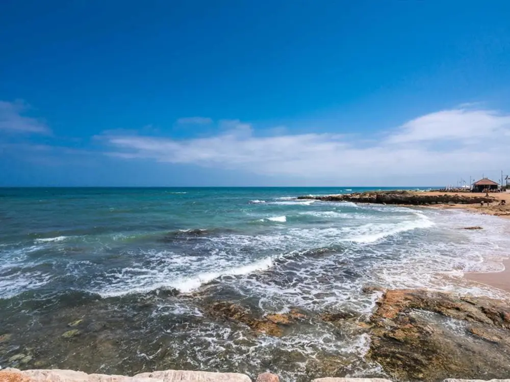 Location de Vacances Pilar de la Horadada 16