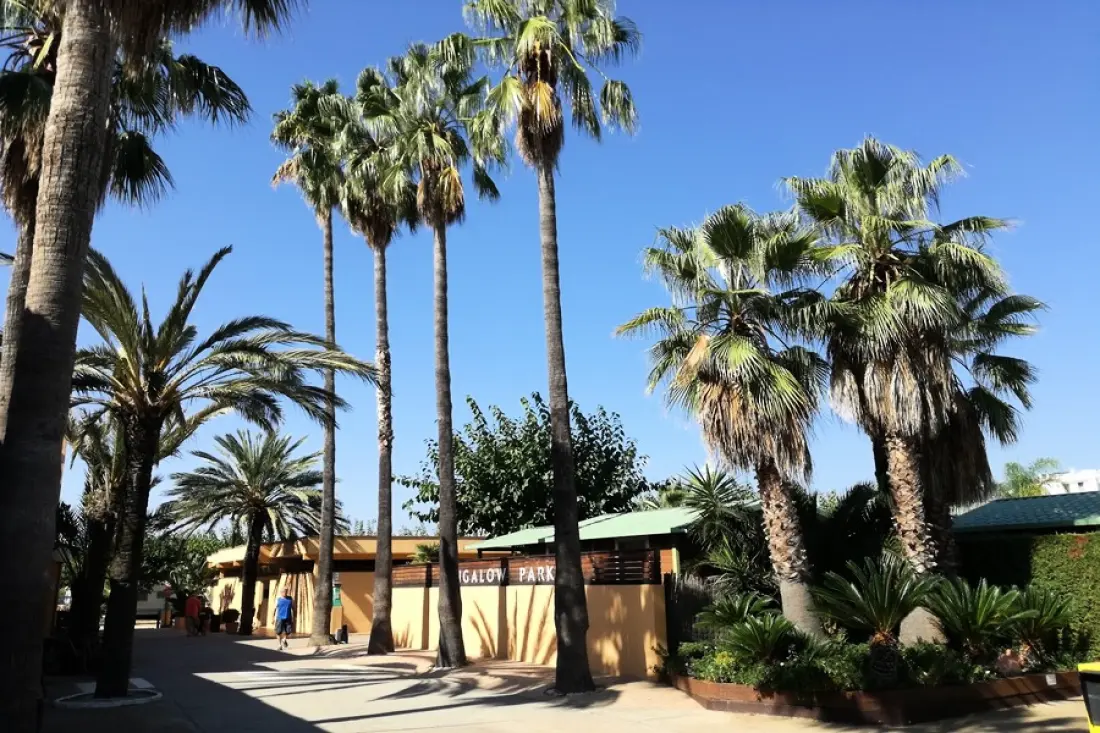 Camping Enmar 4 étoiles★★★★