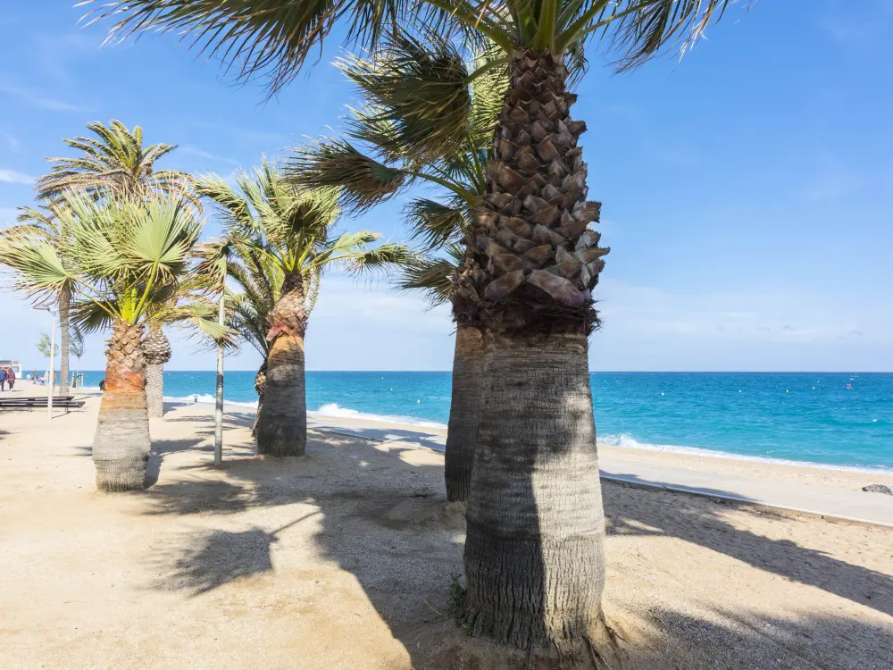 Location de Vacances Pineda de Mar 46