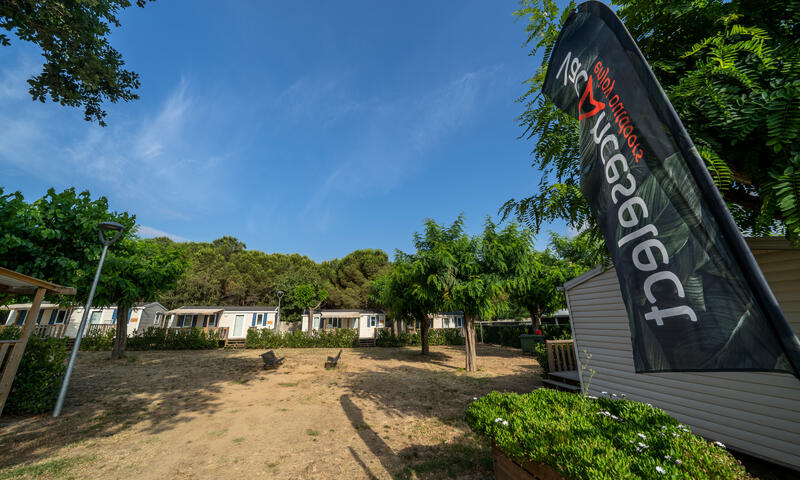 Camping Castell d'Aro - Platja d'Aro - 10