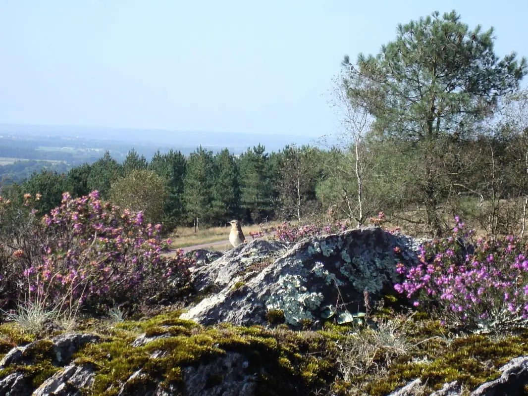 Gîte de France Le gué de brocéliande 3 épis