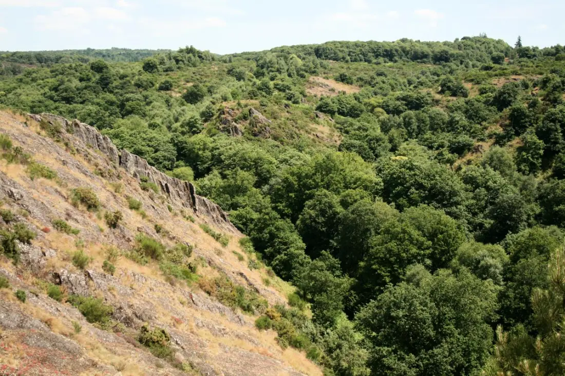 Gîte de France Le gué de brocéliande 3 épis