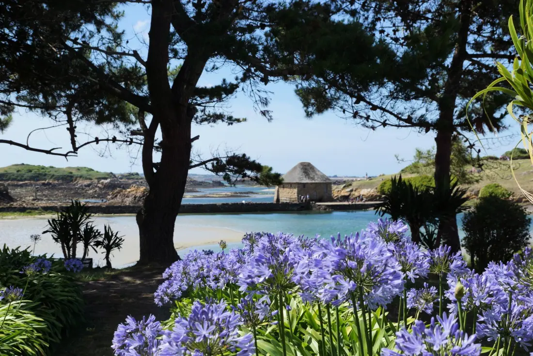 Gîte de France La belle étoile 3 épis