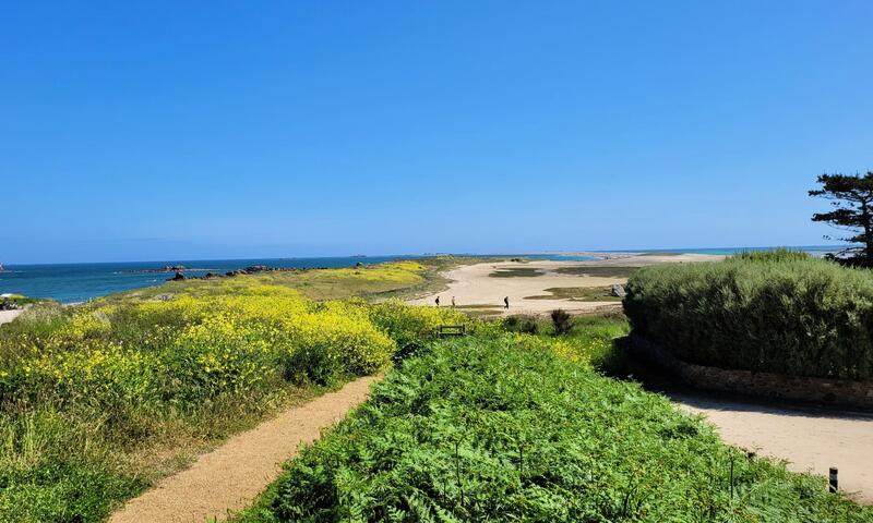 Gîte de France Gwenn ha du 3 épis - - Pleubian - 22