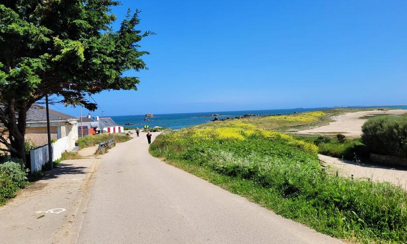 Gîte de France Gwenn ha du 3 épis - - Pleubian - 21