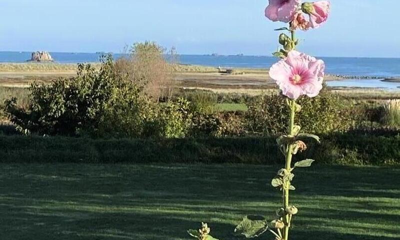Gîte de France La fringante 4 épis - - Pleubian - 18