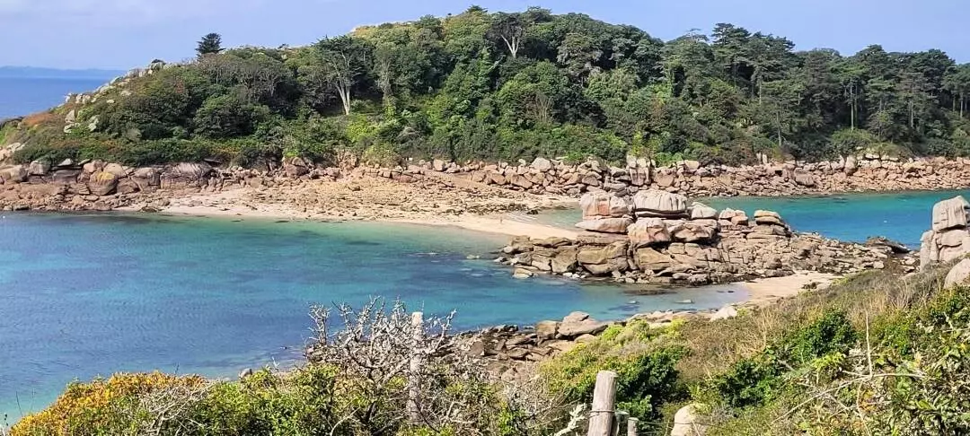 Gîte de France De la chapelle 3 épis - - Pleumeur Bodou - 43