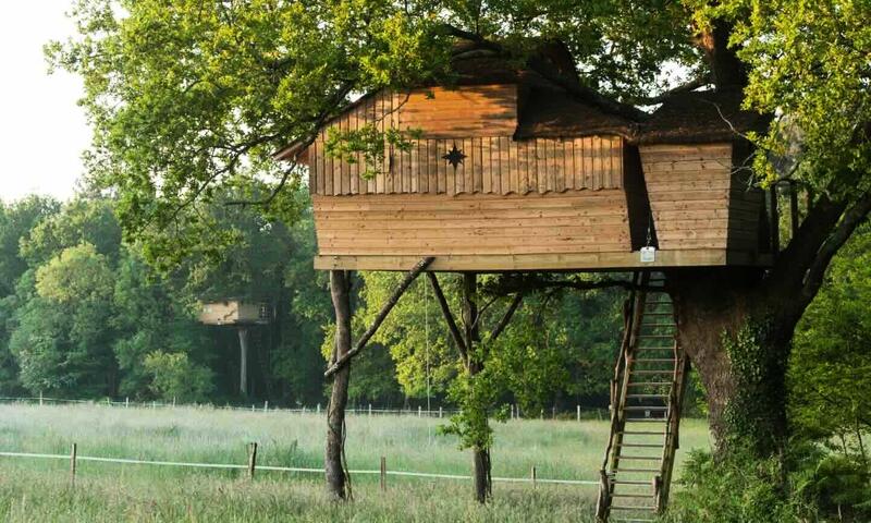 Dihan Evasion - Ploemel - 6