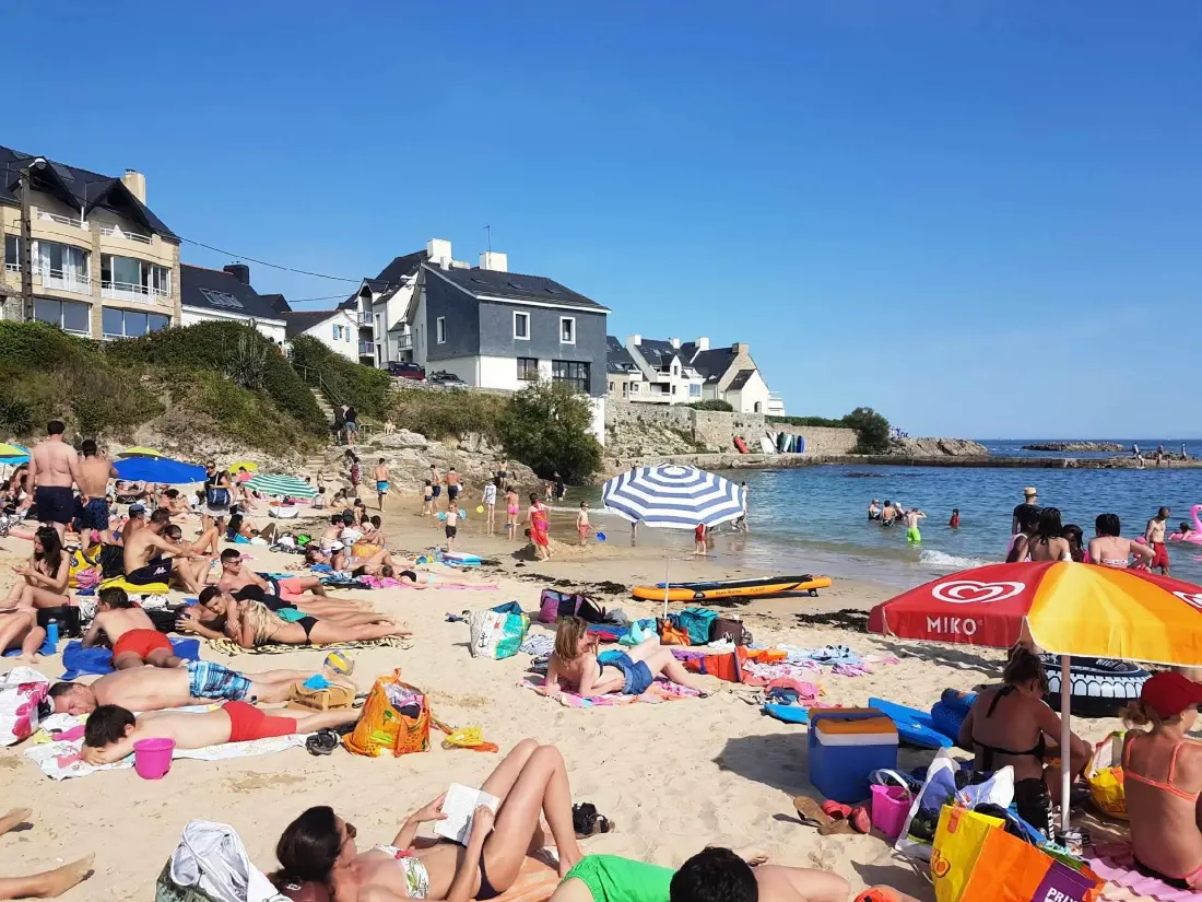 Flower Camping La Pointe du Talud 4 étoiles★★★★