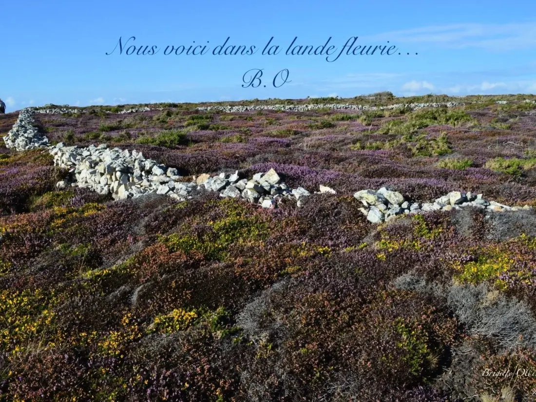 Maison de Vacances Plogonnec