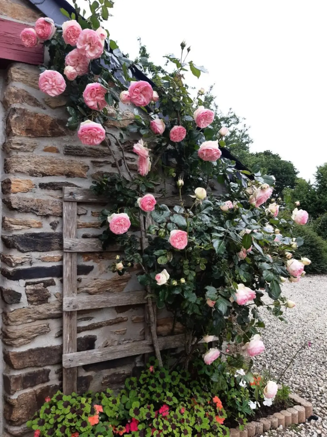 Gîte de France Le paradis 2 épis