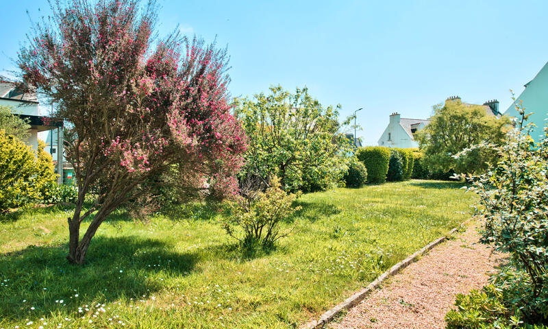 Maison à Plouguerneau - Brest - - Plouguerneau - Brest - 14
