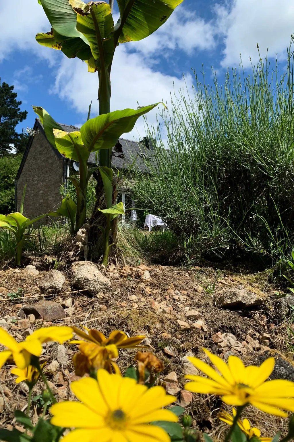 Maison de Vacances Plounerin