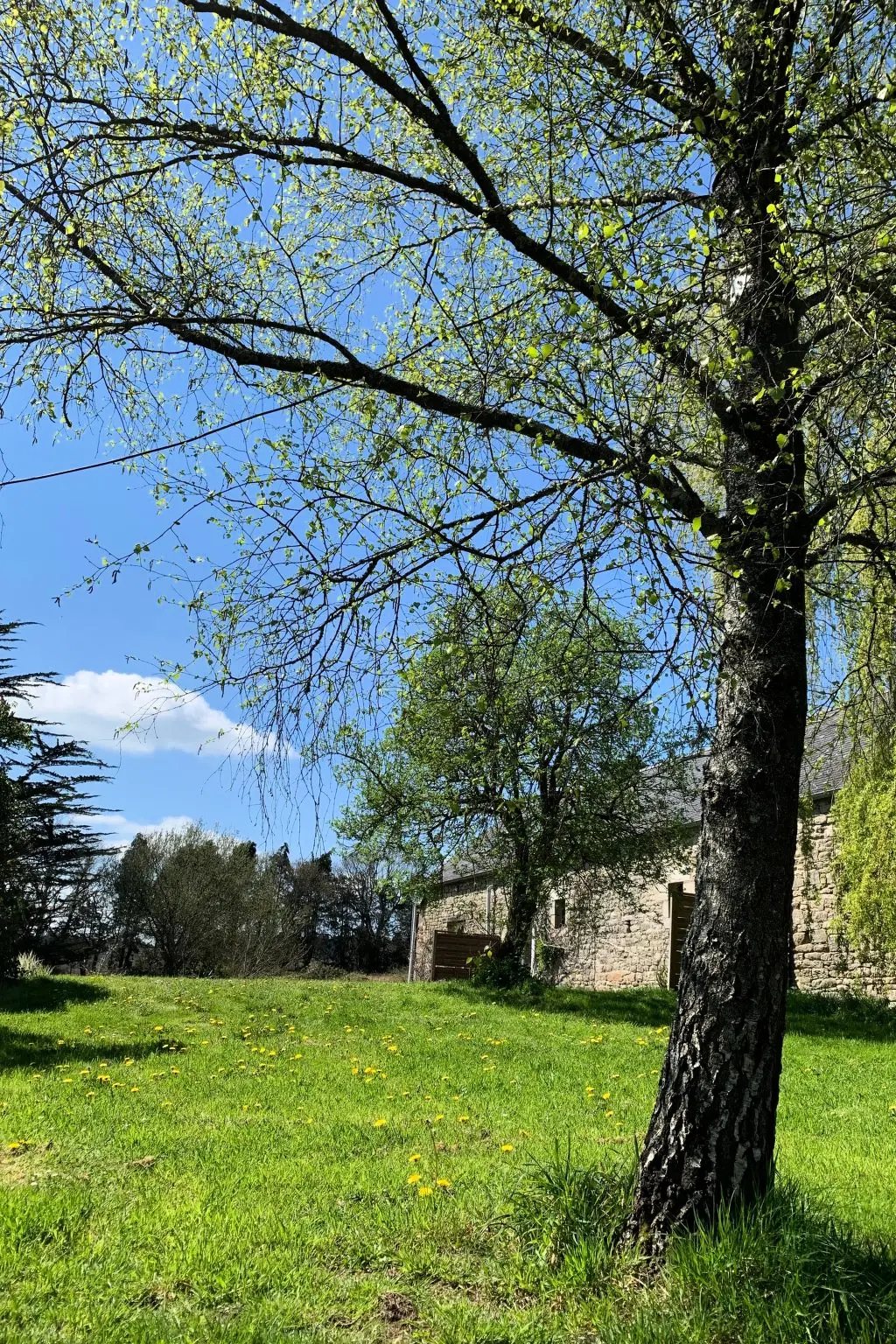 Maison de Vacances Plounerin