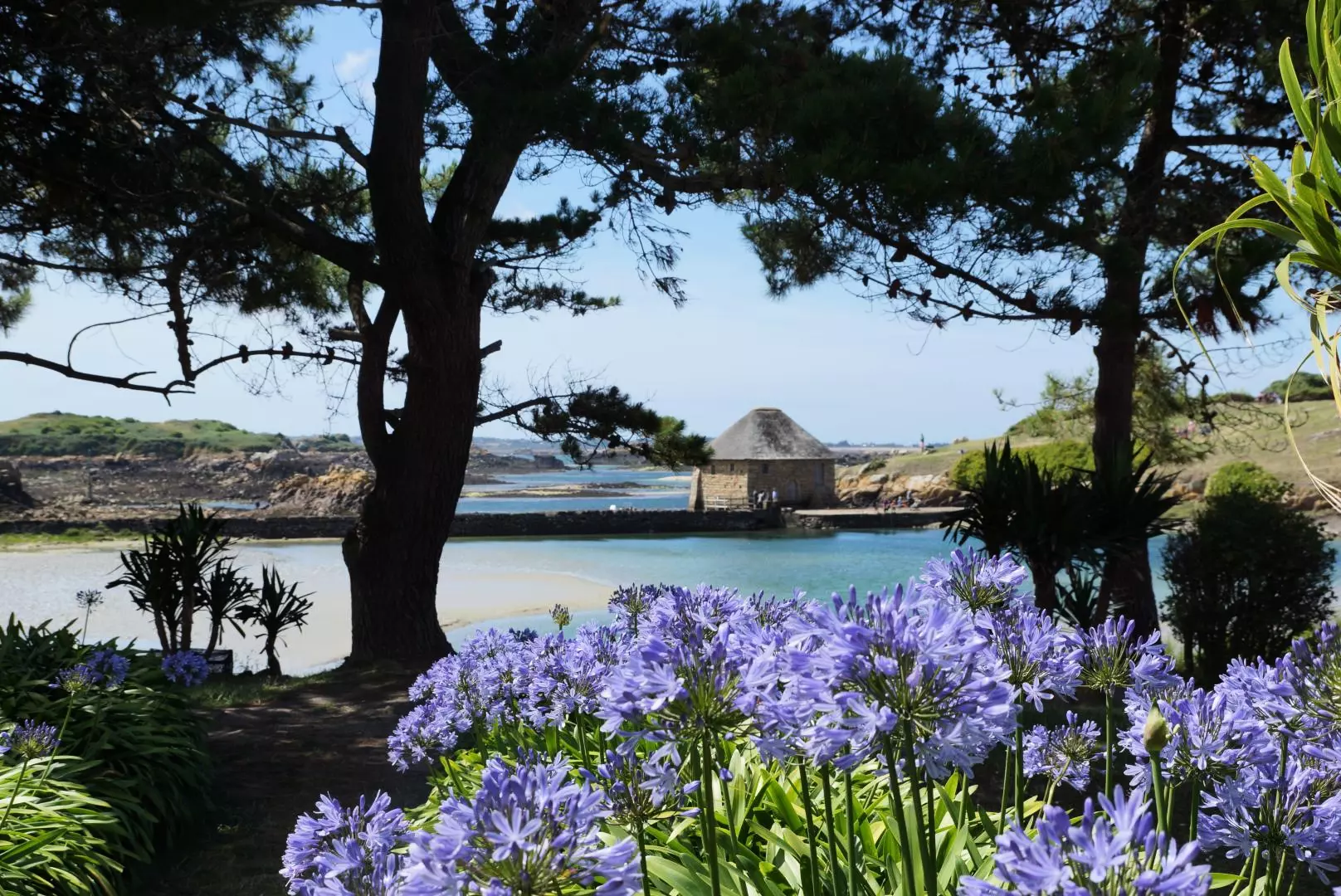 Gîte de France Embalaba 3 épis - - Plourhan - Saint Quay Portrieux - 39