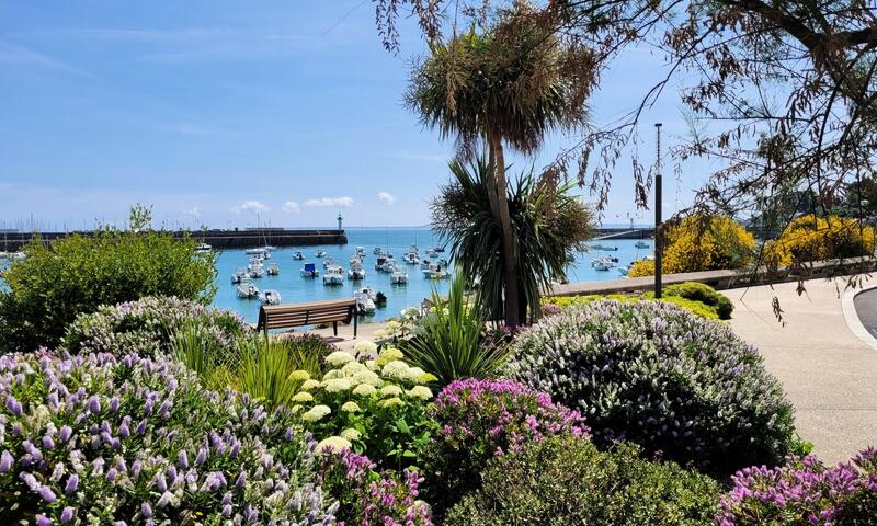 Gîte de France Ty bihan 2 épis - - Plourhan - Saint Quay Portrieux - 32