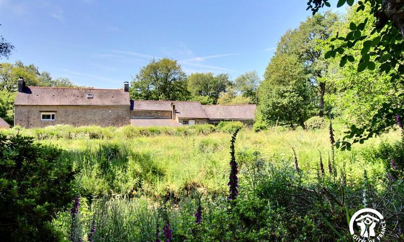 Gîte de France Du moulin de kerlann 3 épis - - Plumergat - 15
