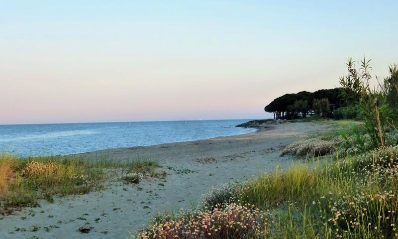 Maison à Poggio-Mezzana - Corse - - Poggio-Mezzana - Corse - 35