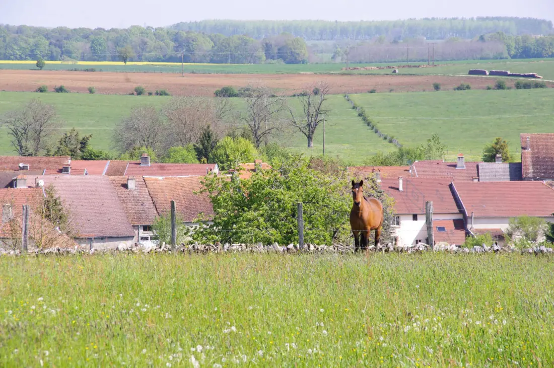 Gîte de France Là haut 2 épis