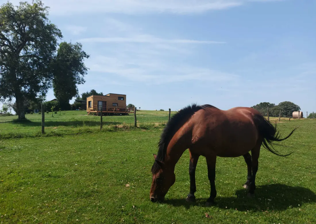 Gîte de France La ti'nid de jeanne