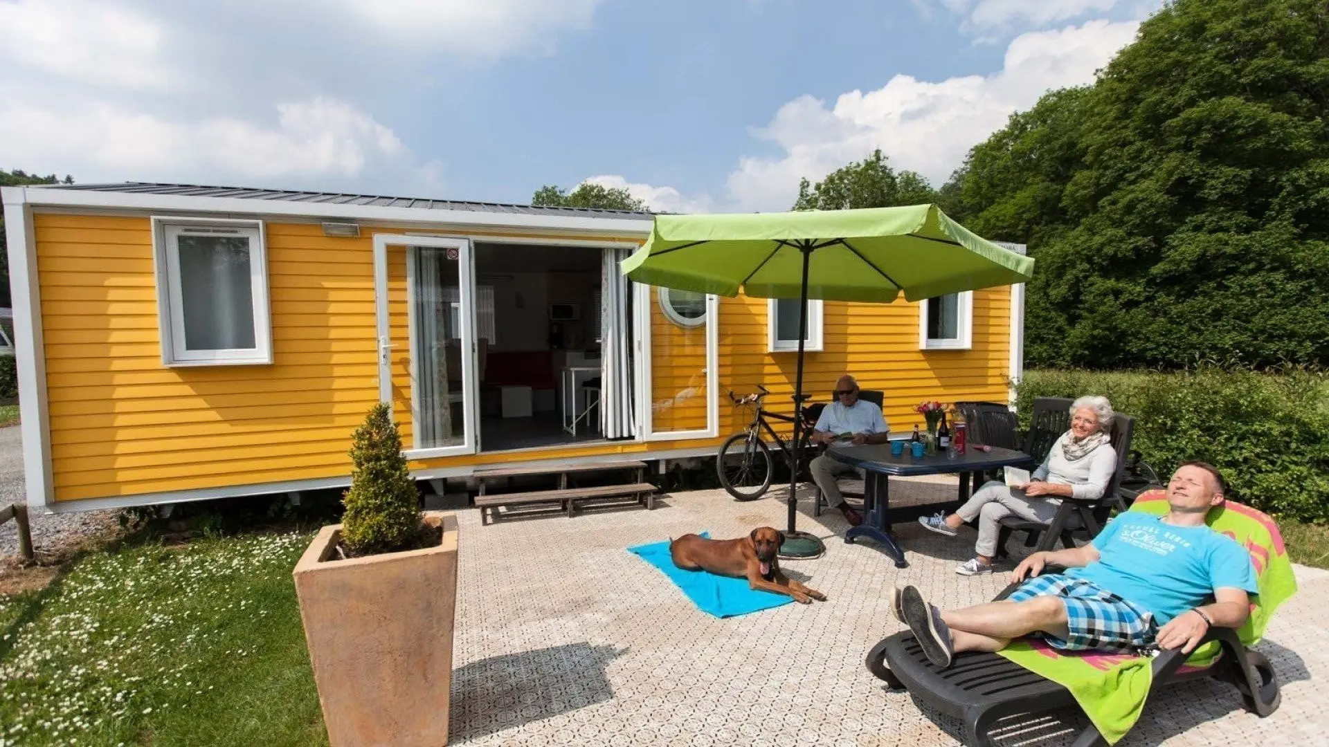 Camping Polleur - Polleur - 1