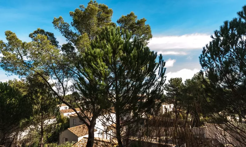 Les Coteaux de Pont Royal en Provence - maeva Home - Pont-Royal - Mallemort - 452
