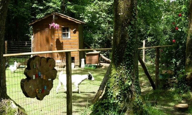 Camping Du Bois de Beaumard *** - Pontchateau - 9