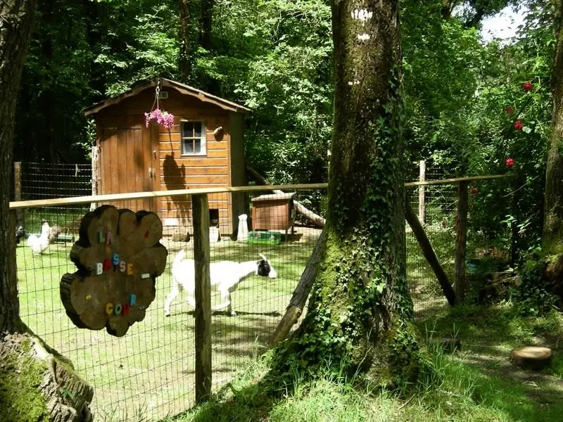Camping Du Bois de Beaumard 3 étoiles★★★