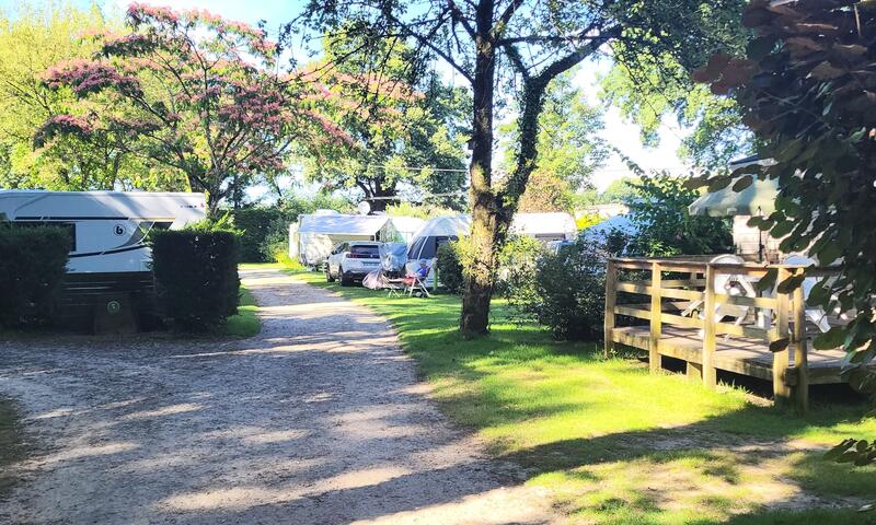 Camping Du Bois de Beaumard *** - Pontchateau - 8