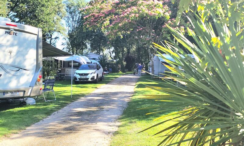 Camping Du Bois de Beaumard *** - Pontchateau - 5