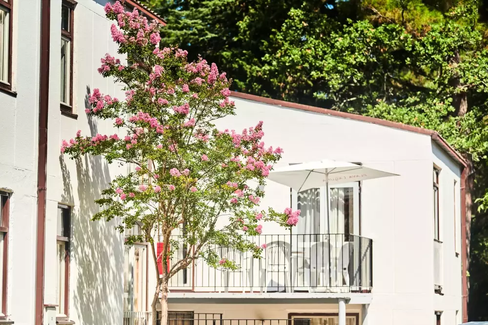 Appartements Astra Plava Laguna2 étoiles★★