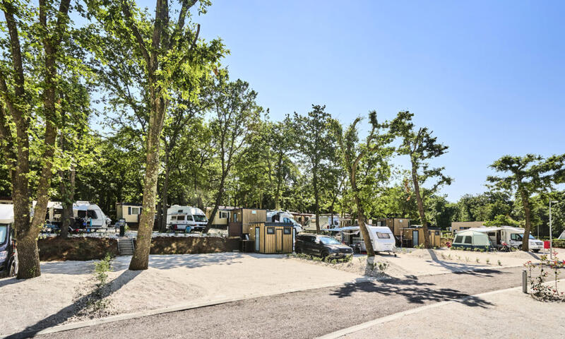 Camping Bijela Uvala - Porec - 31