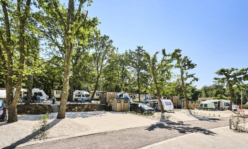 Camping Bijela Uvala**** - Porec