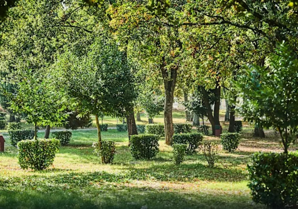 Camping Bijela Uvala4 étoiles★★★★