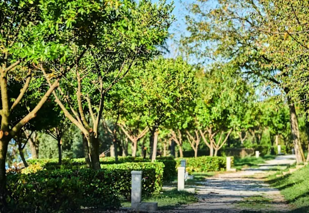 Camping Bijela Uvala4 étoiles★★★★