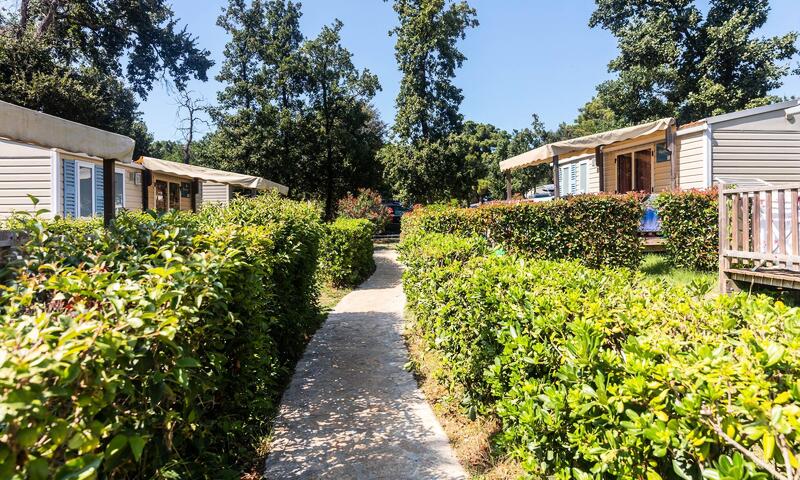 Camping Lanterna Premium Camping Resort - Porec - 15