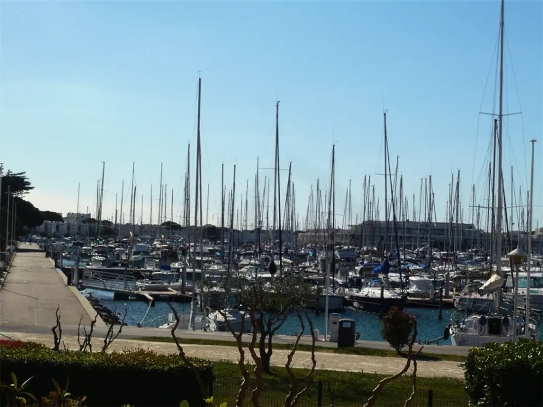 Location de Vacances Port Camargue 321