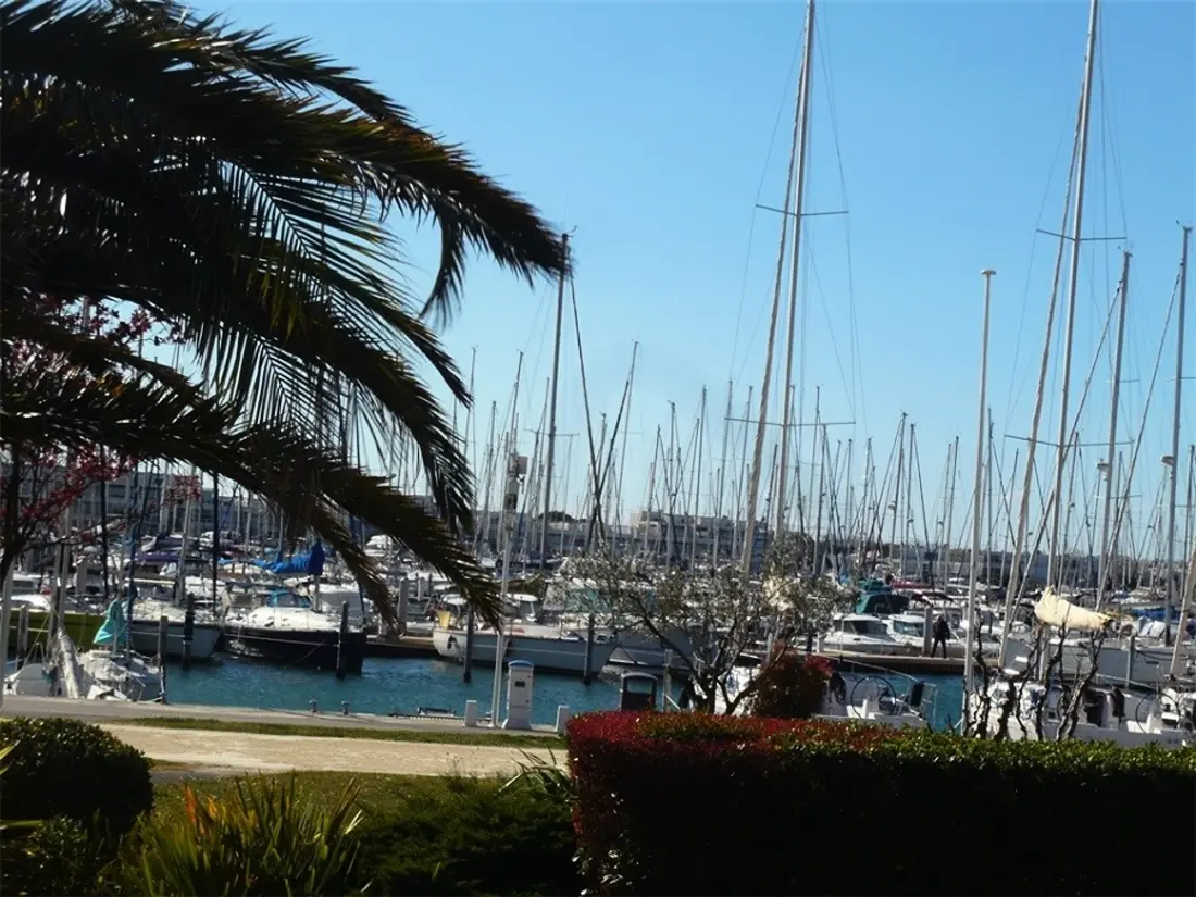Location de Vacances Port Camargue 321